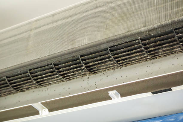 Air Duct Mold Removal in Portola, CA