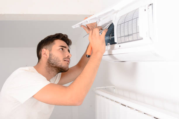 Best Air Duct Mold Removal  in Portola, CA